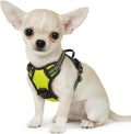 Say goodbye to pulling on walks! 🐾 Check out our comfy, adjustable dog harness for large pups! 🌟 Features reflective strips, a control handle, and no choke design. Perfect for your adventures together! 🐕✨ #DogLovers #PetGear #NoPullHarness