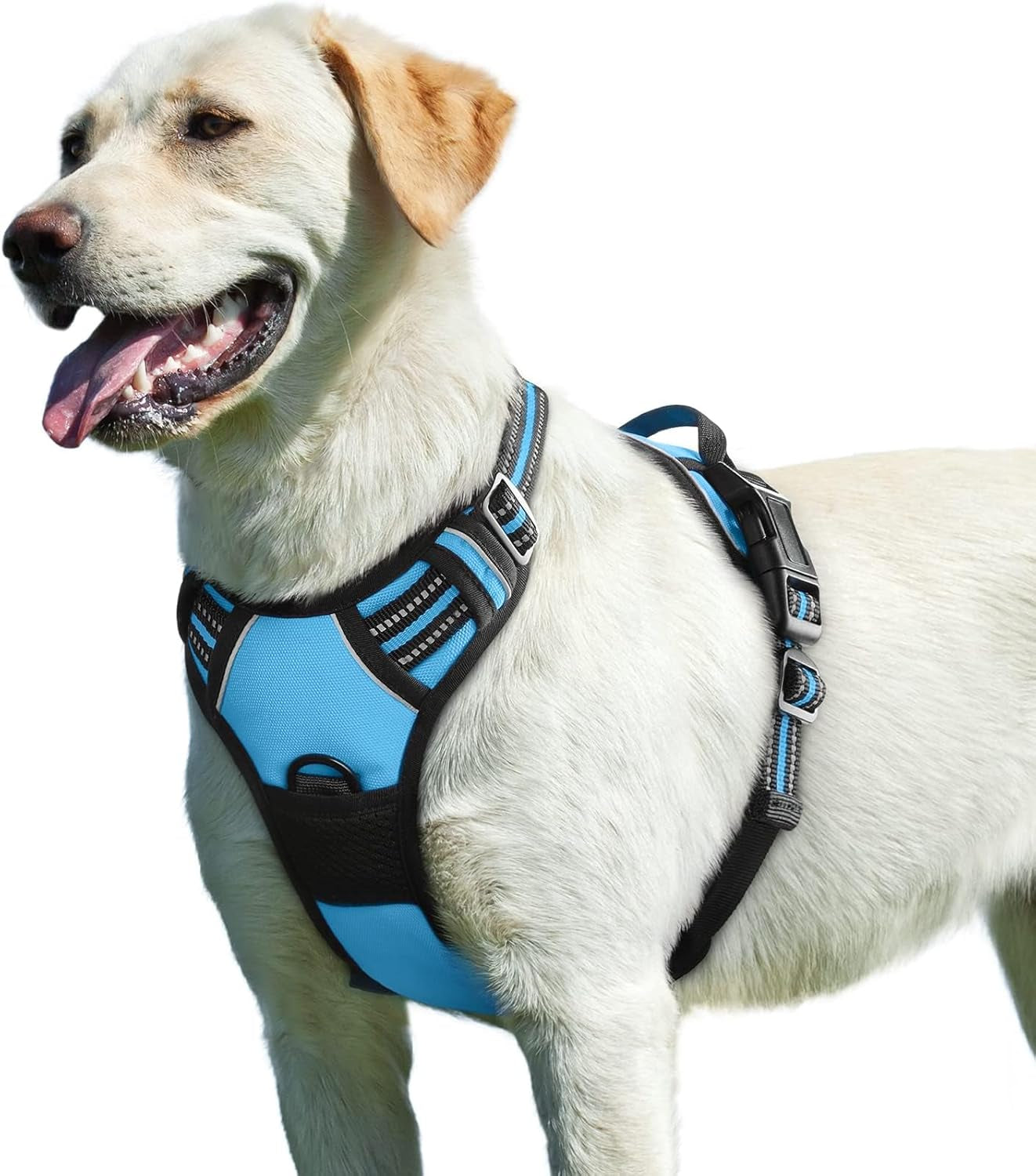 Say goodbye to pulling on walks! 🐾 Check out our comfy, adjustable dog harness for large pups! 🌟 Features reflective strips, a control handle, and no choke design. Perfect for your adventures together! 🐕✨ #DogLovers #PetGear #NoPullHarness