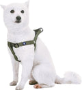 Upgrade your pup's style with our Lavender Step-In Dog Harness! Perfect fit for medium dogs with a chest girth of 20