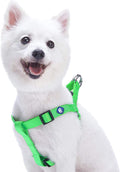 Upgrade your pup's style with our Lavender Step-In Dog Harness! Perfect fit for medium dogs with a chest girth of 20