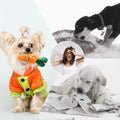 12 Adorable Plush Squeaky Toys for Your Small to Medium Pup – Comes with a Handy Carrying Bag! 🐾🎉