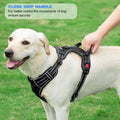 Upgrade Your Dog Walks! 🌟 Adjustable No Pull Harness + Free 5Ft Leash for Medium & Large Dogs 🐾💙 Perfect for Comfort & Control!