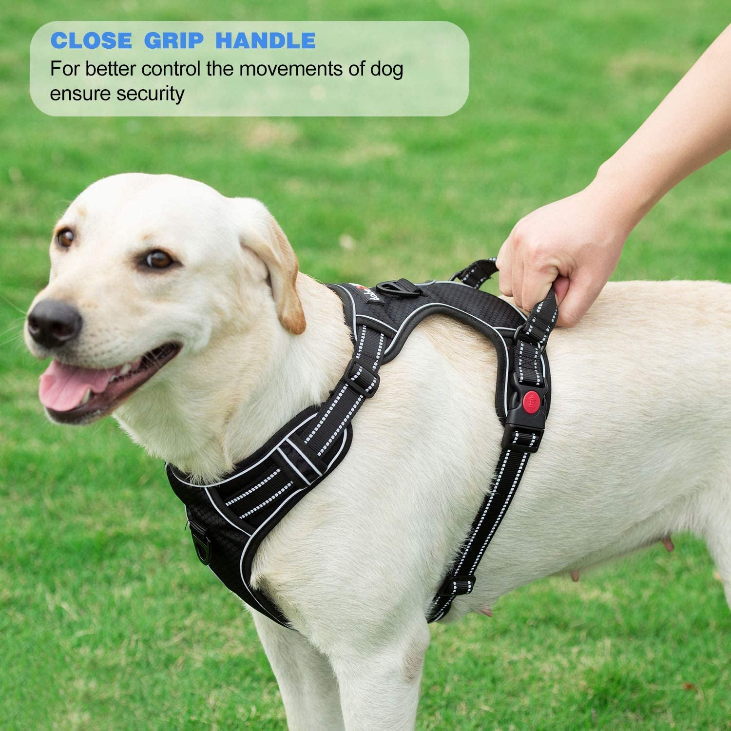 Upgrade Your Dog Walks! 🌟 Adjustable No Pull Harness + Free 5Ft Leash for Medium & Large Dogs 🐾💙 Perfect for Comfort & Control!