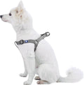 Upgrade your pup's style with our Lavender Step-In Dog Harness! Perfect fit for medium dogs with a chest girth of 20