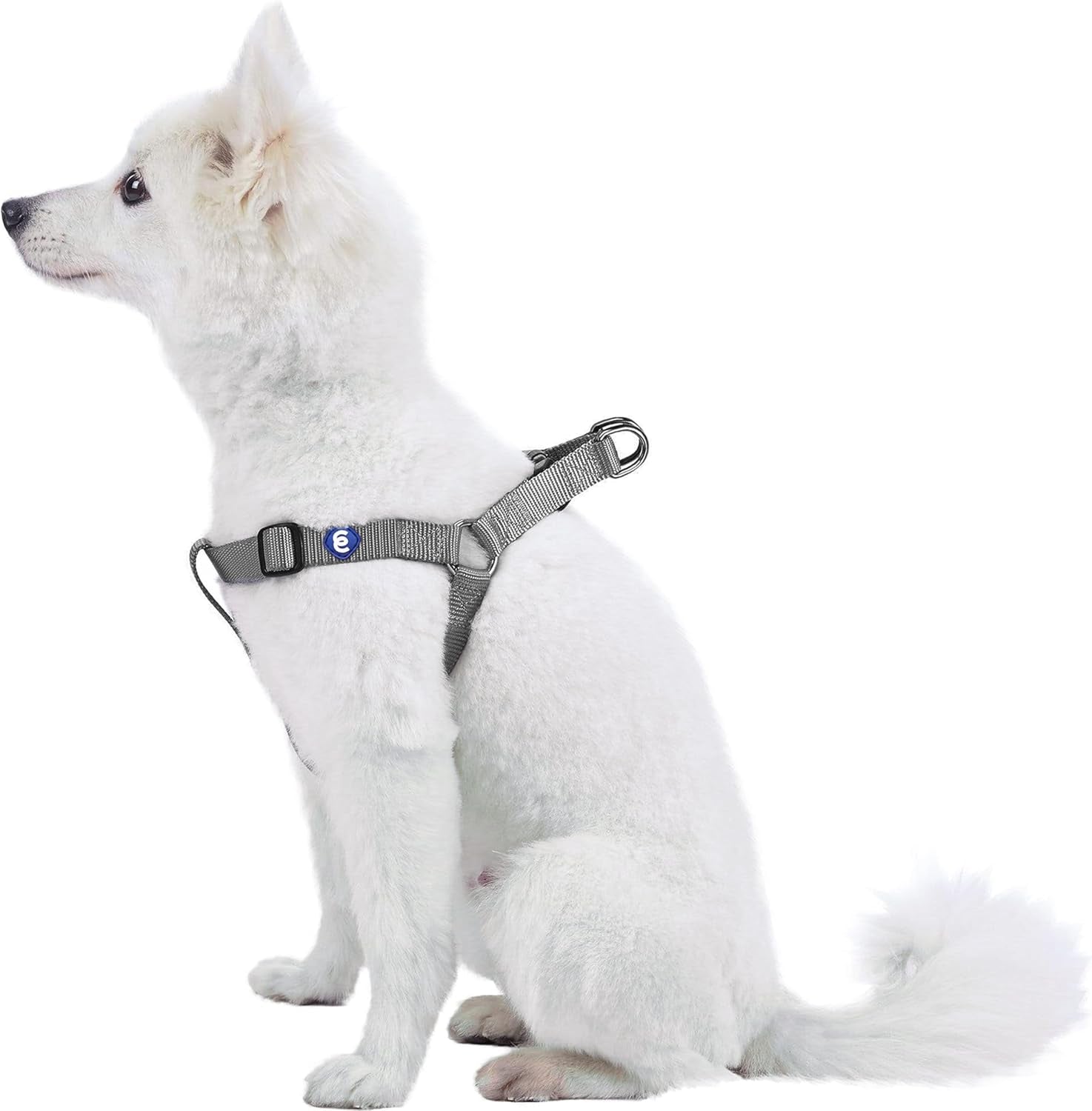 Upgrade your pup's style with our Lavender Step-In Dog Harness! Perfect fit for medium dogs with a chest girth of 20"-26". Adjustable & durable for all adventures! 🐾💜