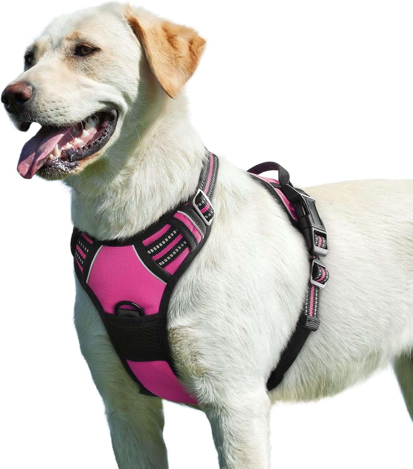 Say goodbye to pulling on walks! 🐾 Check out our comfy, adjustable dog harness for large pups! 🌟 Features reflective strips, a control handle, and no choke design. Perfect for your adventures together! 🐕✨ #DogLovers #PetGear #NoPullHarness
