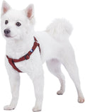 Upgrade your pup's style with our Lavender Step-In Dog Harness! Perfect fit for medium dogs with a chest girth of 20