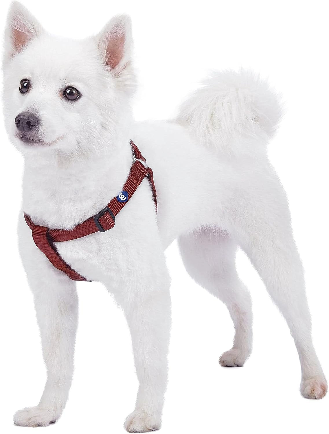 Upgrade your pup's style with our Lavender Step-In Dog Harness! Perfect fit for medium dogs with a chest girth of 20"-26". Adjustable & durable for all adventures! 🐾💜