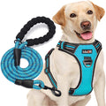 Upgrade Your Dog Walks! 🌟 Adjustable No Pull Harness + Free 5Ft Leash for Medium & Large Dogs 🐾💙 Perfect for Comfort & Control!