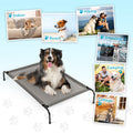 Pet Beds