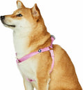 Upgrade your pup's style with our Lavender Step-In Dog Harness! Perfect fit for medium dogs with a chest girth of 20