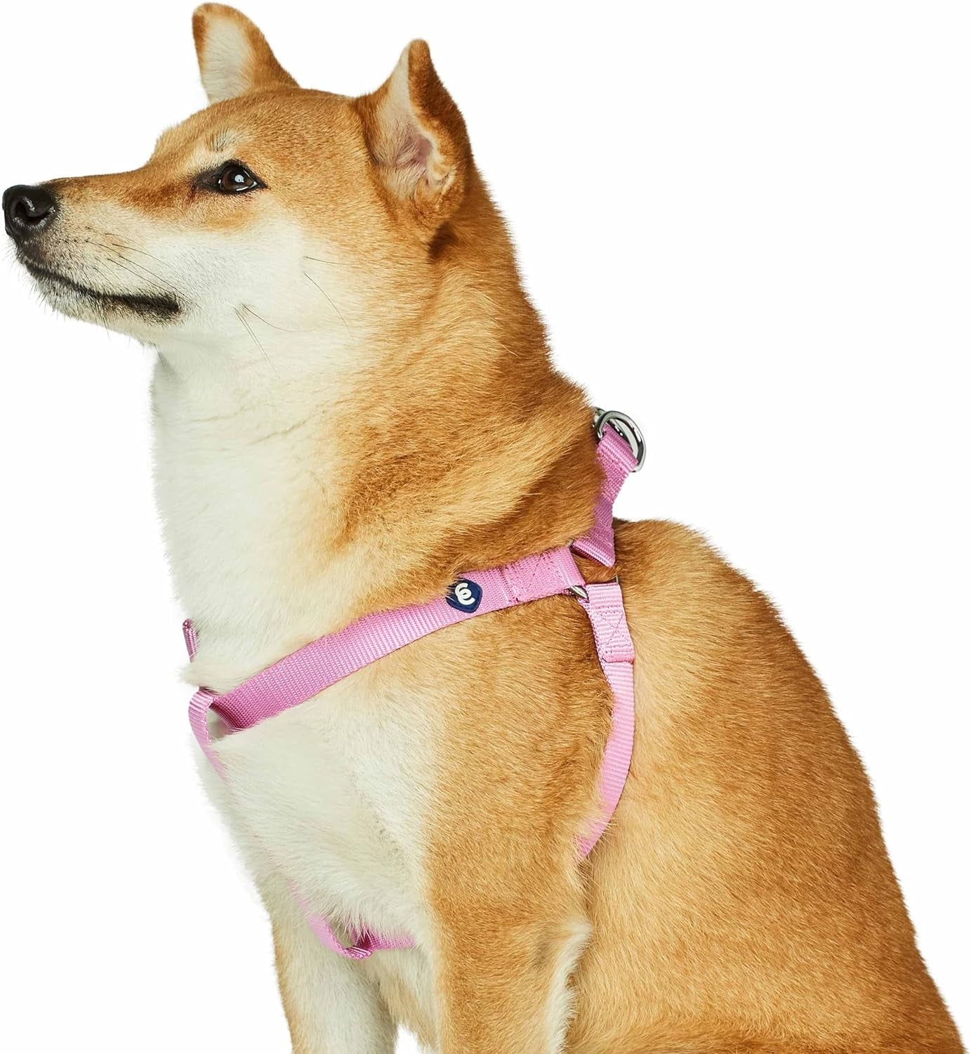 Upgrade your pup's style with our Lavender Step-In Dog Harness! Perfect fit for medium dogs with a chest girth of 20"-26". Adjustable & durable for all adventures! 🐾💜