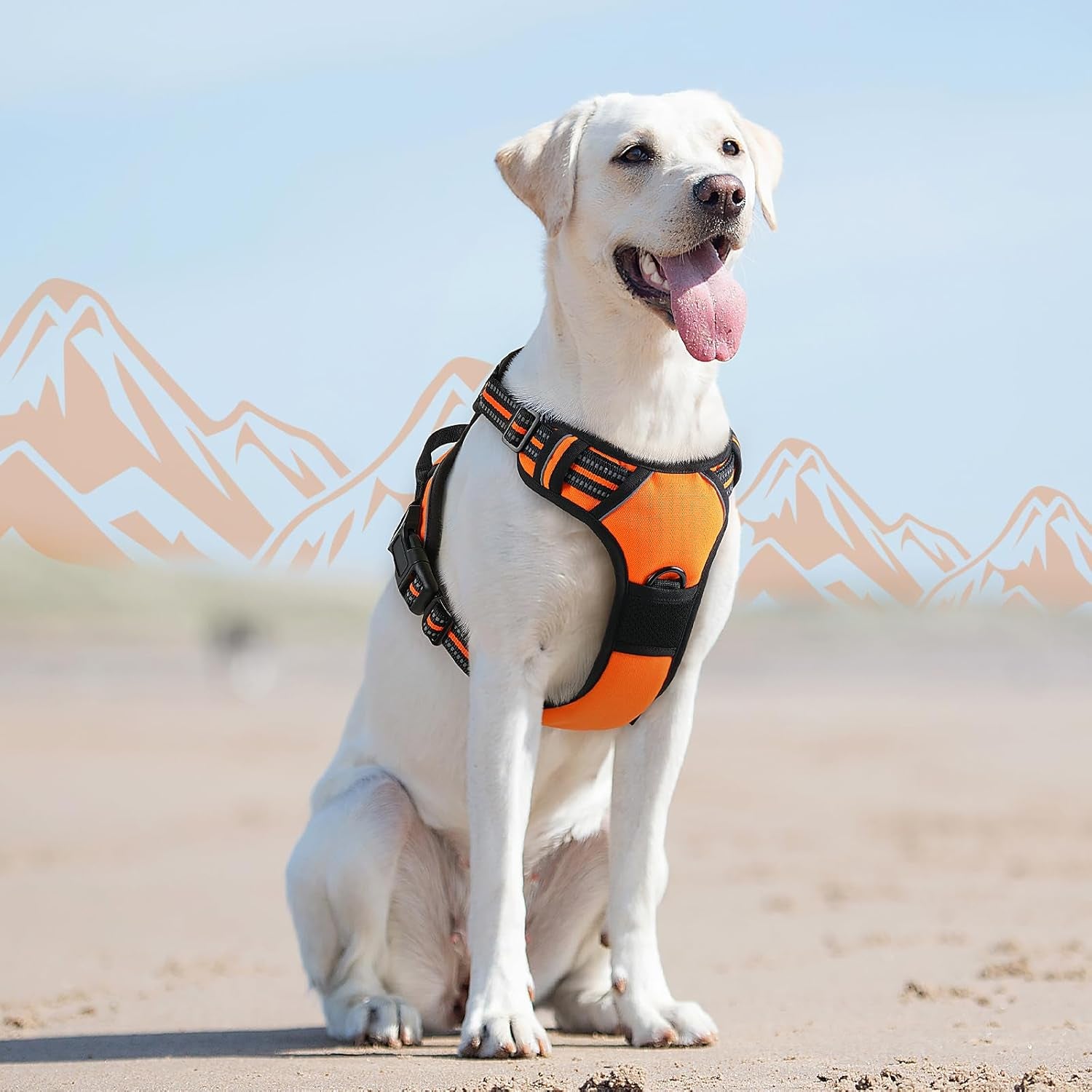Say goodbye to pulling on walks! 🐾 Check out our comfy, adjustable dog harness for large pups! 🌟 Features reflective strips, a control handle, and no choke design. Perfect for your adventures together! 🐕✨ #DogLovers #PetGear #NoPullHarness
