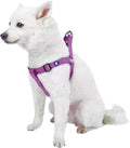 Upgrade your pup's style with our Lavender Step-In Dog Harness! Perfect fit for medium dogs with a chest girth of 20