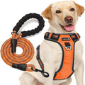 Upgrade Your Dog Walks! 🌟 Adjustable No Pull Harness + Free 5Ft Leash for Medium & Large Dogs 🐾💙 Perfect for Comfort & Control!