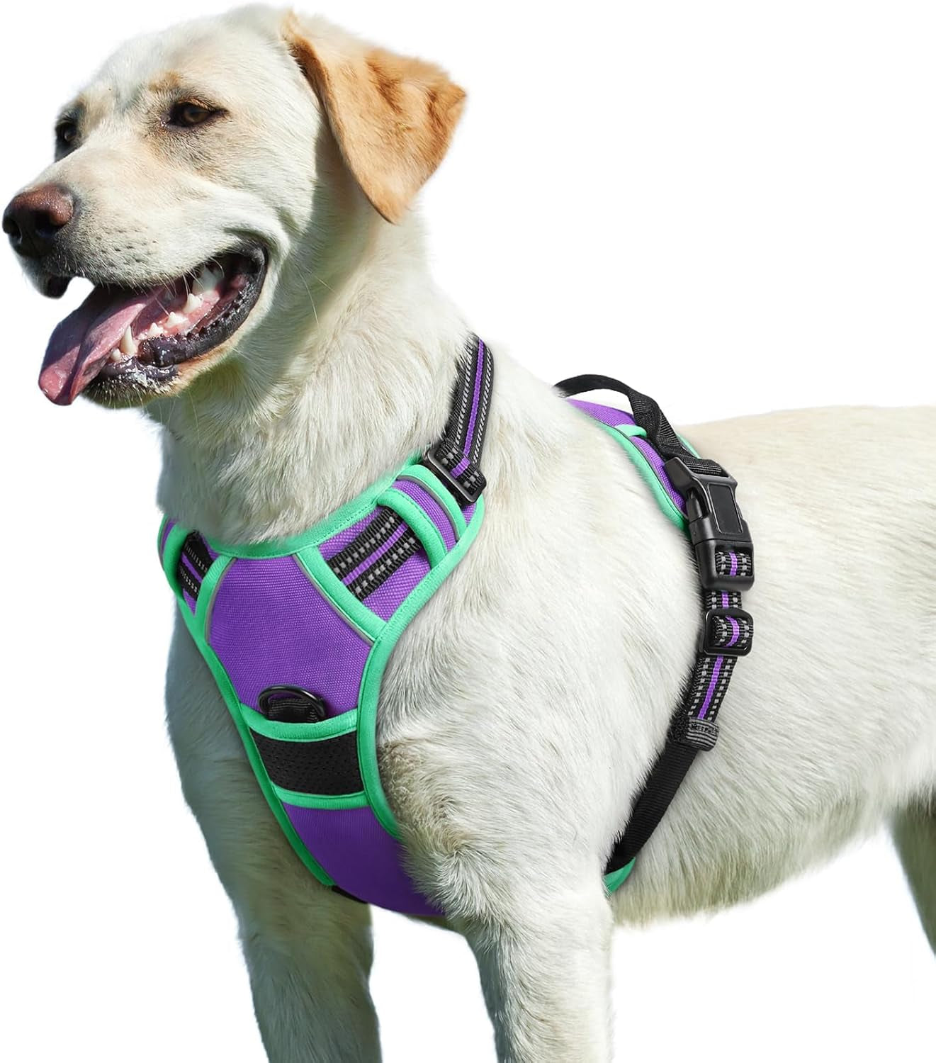 Say goodbye to pulling on walks! 🐾 Check out our comfy, adjustable dog harness for large pups! 🌟 Features reflective strips, a control handle, and no choke design. Perfect for your adventures together! 🐕✨ #DogLovers #PetGear #NoPullHarness