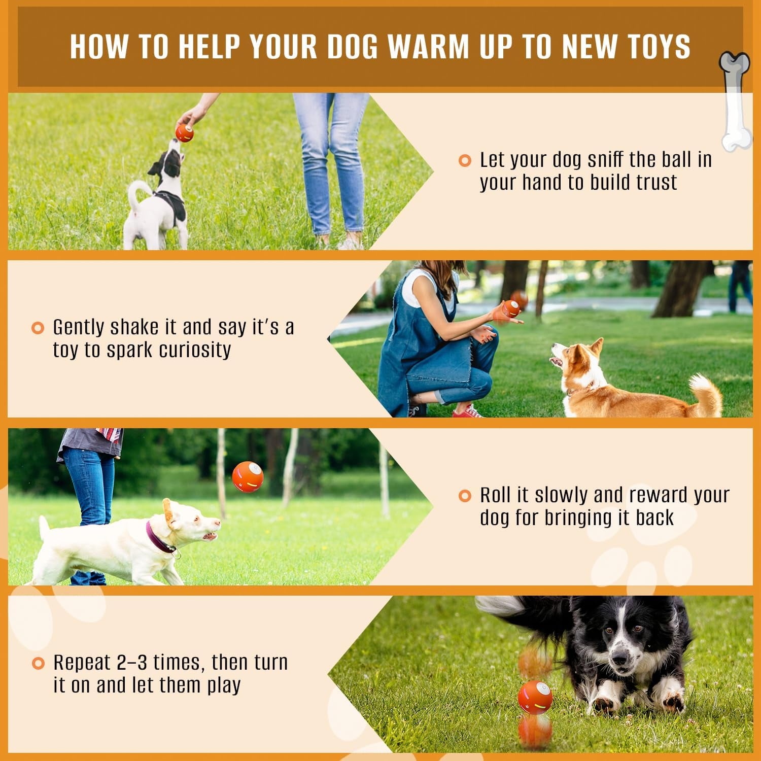 Level Up Playtime! 🐾🎉 Check Out Our New 2025 Interactive Dog Ball - Motion Activated & USB Rechargeable! Perfect for Dogs of All Sizes! 🐶💖