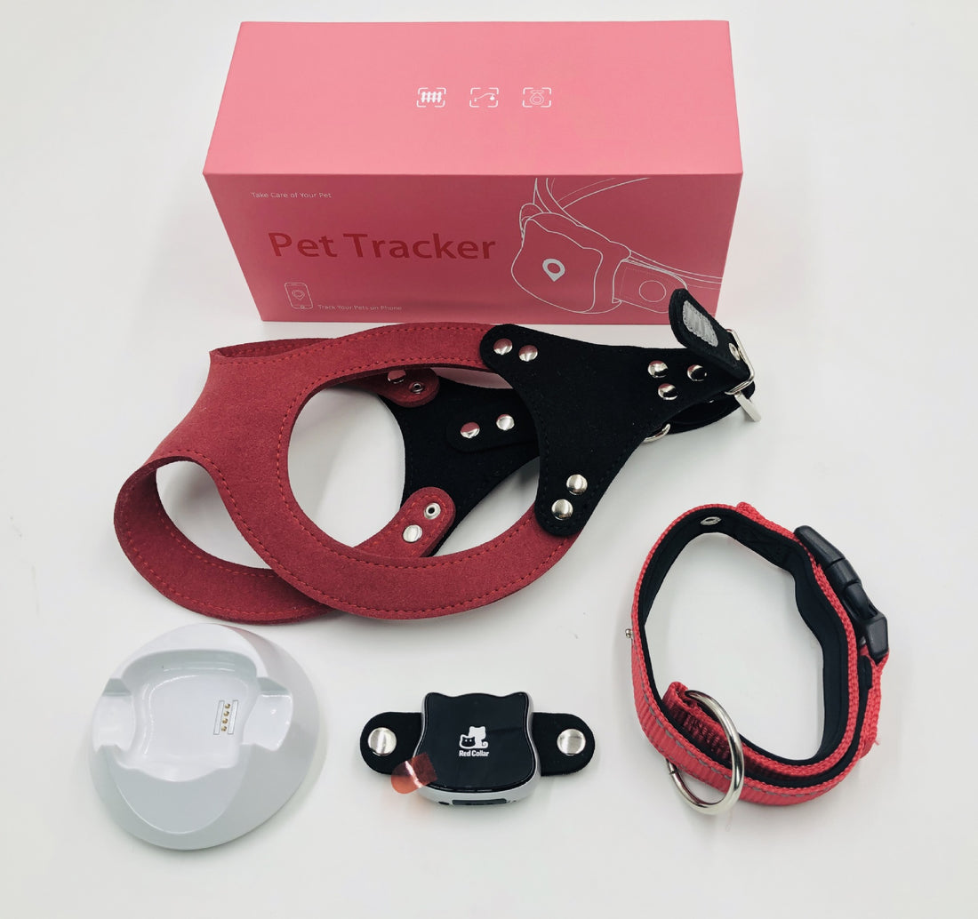 Pet Location Tracker Anti-Lost Collar Smart