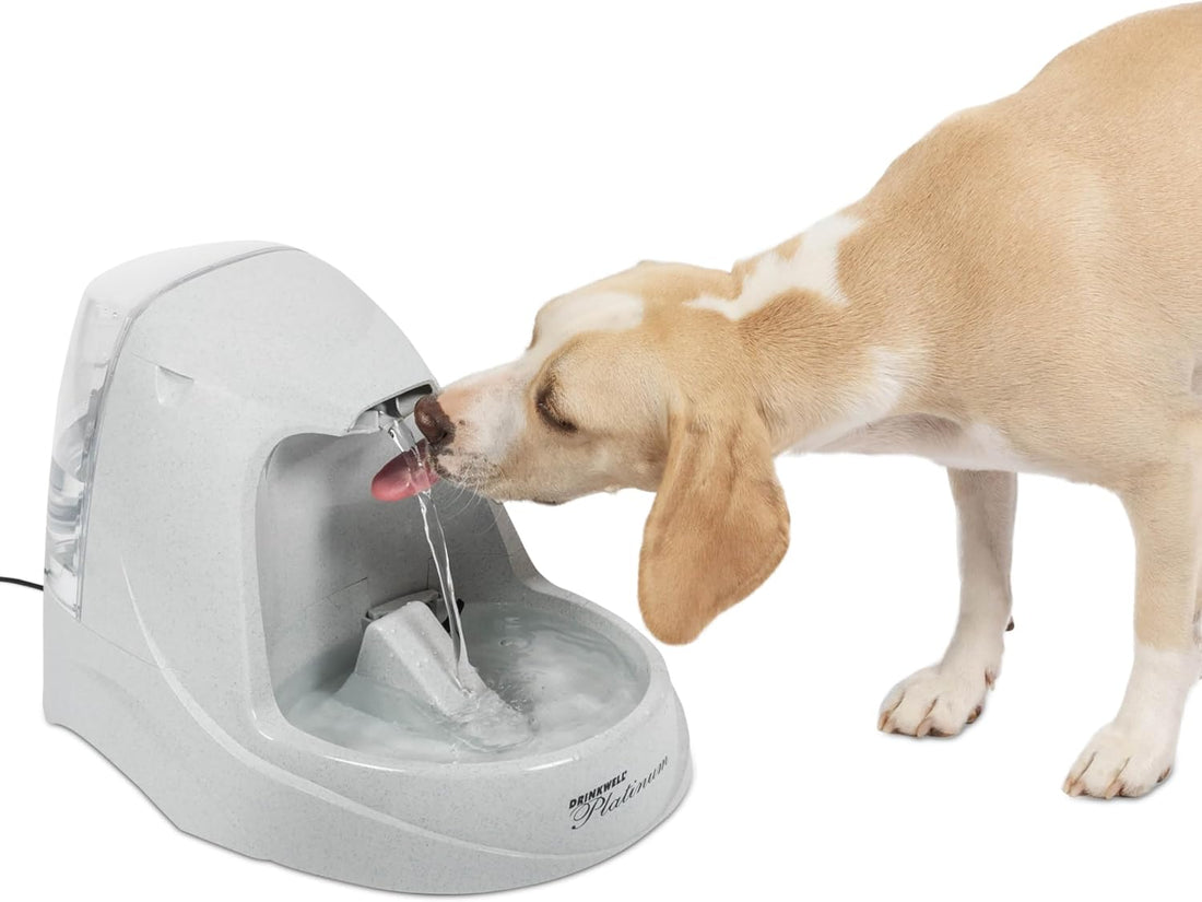 Upgrade your pet's hydration game with the Drinkwell Platinum Water Fountain! 💧🐾 Automatic, 168 oz capacity, and sleek grey design - perfect for your furry friends! #PetCare #HydrationStation