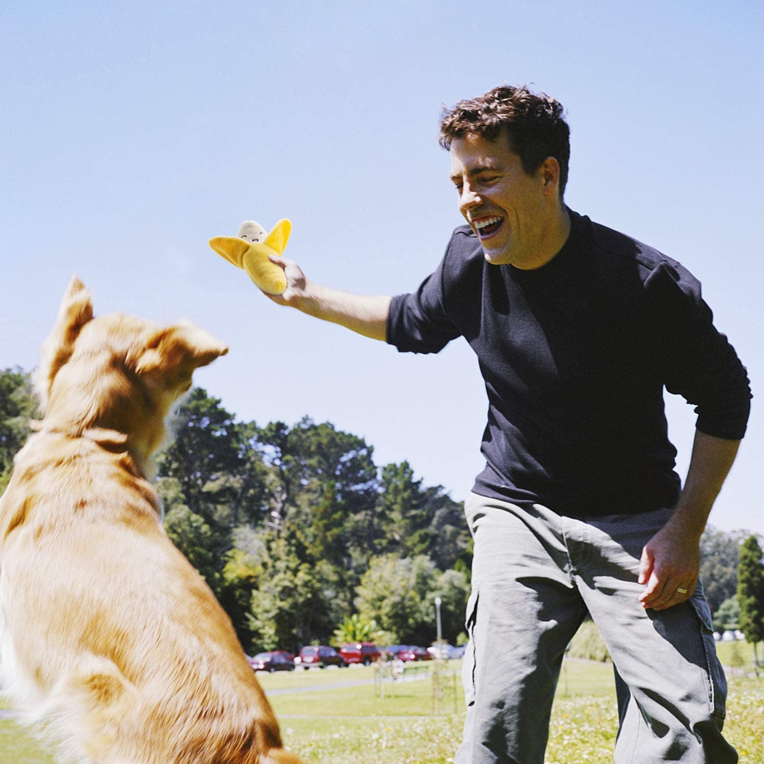 12 Adorable Plush Squeaky Toys for Your Small to Medium Pup – Comes with a Handy Carrying Bag! 🐾🎉