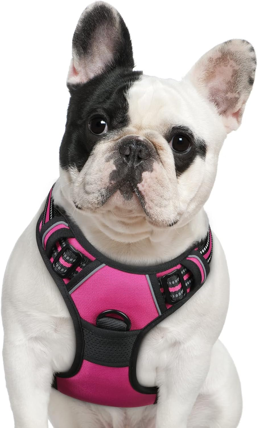 Say goodbye to pulling on walks! 🐾 Check out our comfy, adjustable dog harness for large pups! 🌟 Features reflective strips, a control handle, and no choke design. Perfect for your adventures together! 🐕✨ #DogLovers #PetGear #NoPullHarness