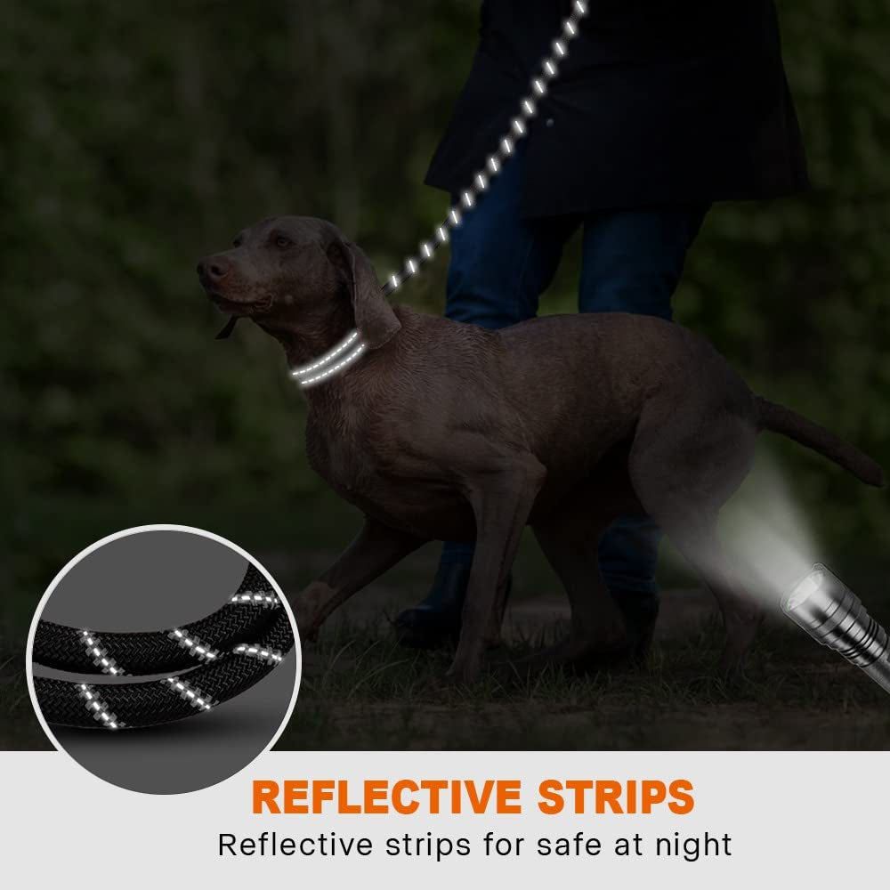 Adjustable Elastic Dog Leash for Hands-Free Jogging - Padded Handle & Reflective Design, Perfect for Training and Walking