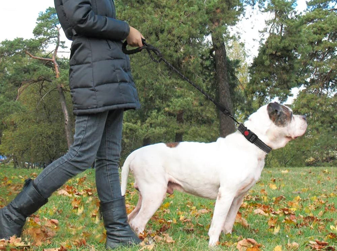 Adjustable Elastic Dog Leash for Hands-Free Jogging - Padded Handle & Reflective Design, Perfect for Training and Walking