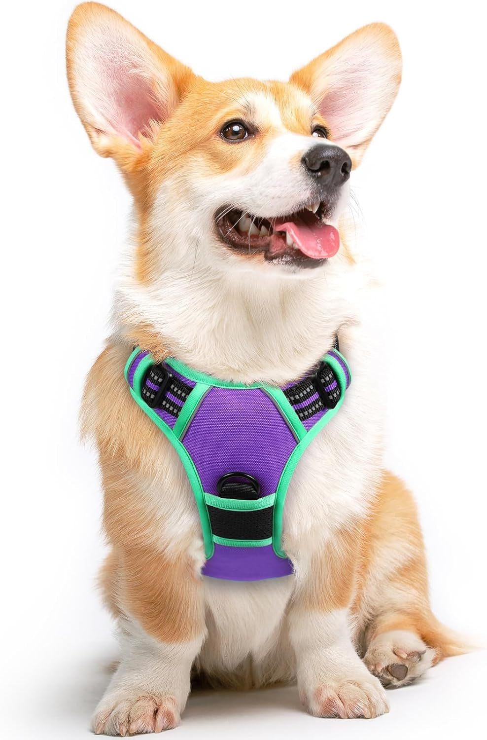 Say goodbye to pulling on walks! 🐾 Check out our comfy, adjustable dog harness for large pups! 🌟 Features reflective strips, a control handle, and no choke design. Perfect for your adventures together! 🐕✨ #DogLovers #PetGear #NoPullHarness