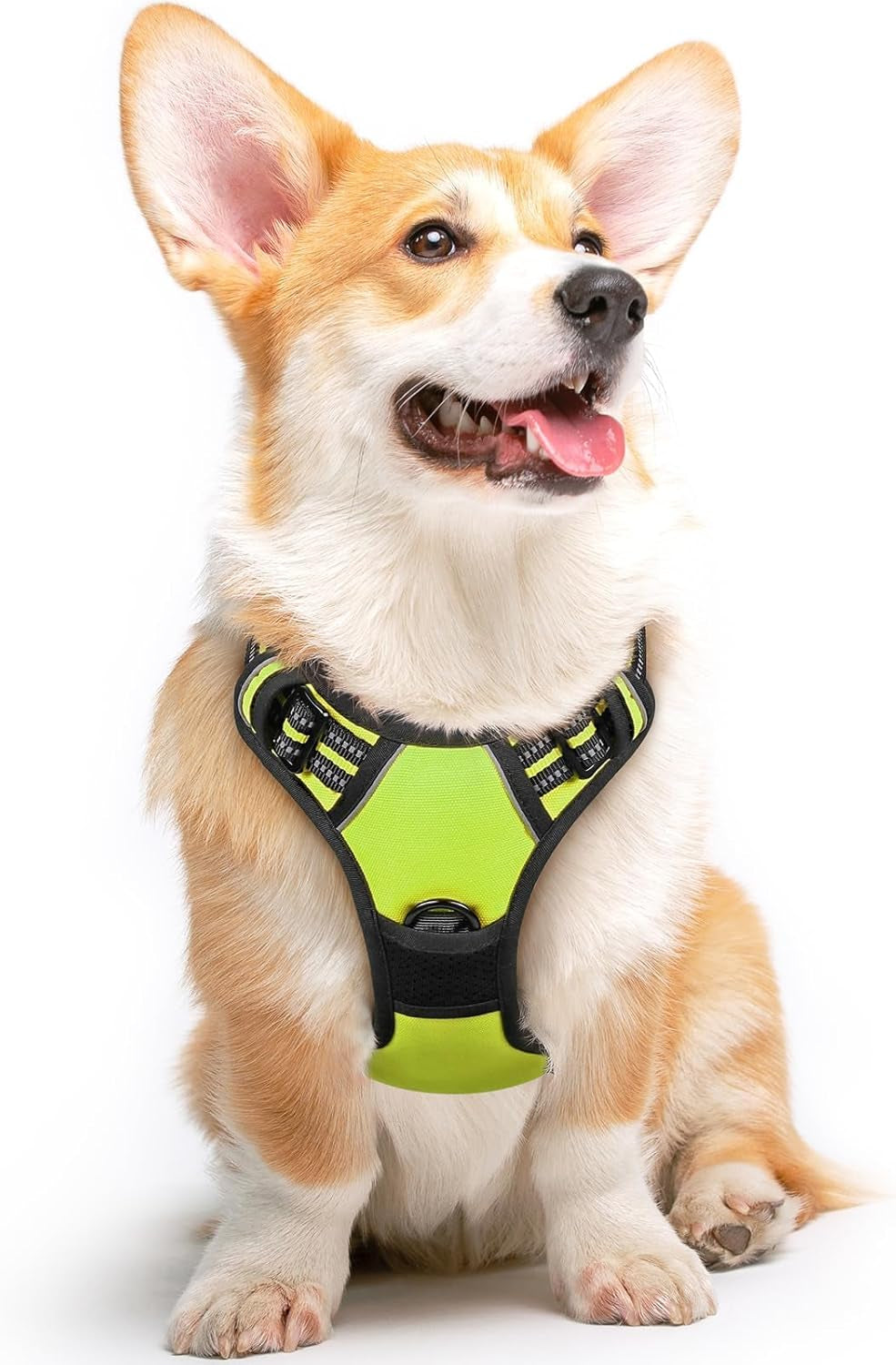 Say goodbye to pulling on walks! 🐾 Check out our comfy, adjustable dog harness for large pups! 🌟 Features reflective strips, a control handle, and no choke design. Perfect for your adventures together! 🐕✨ #DogLovers #PetGear #NoPullHarness