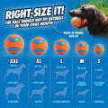 Ultra Ball Dog Toy, Medium (2.5 Inch Diameter) Pack of 1, for Breeds 20-60 Lbs