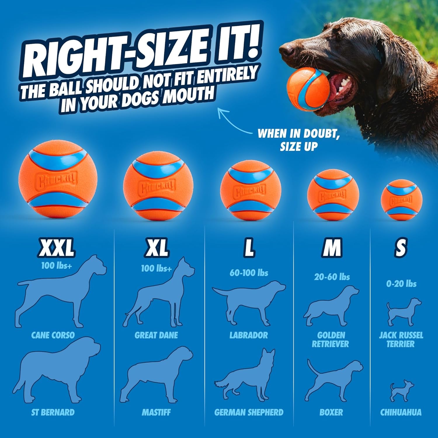 Ultra Ball Dog Toy, Medium (2.5 Inch Diameter) Pack of 1, for Breeds 20-60 Lbs