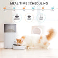 Revolutionary Purechew Mini Smart Cat and Dog Feeder - Automatic Food Dispenser for Hassle-Free Feeding!