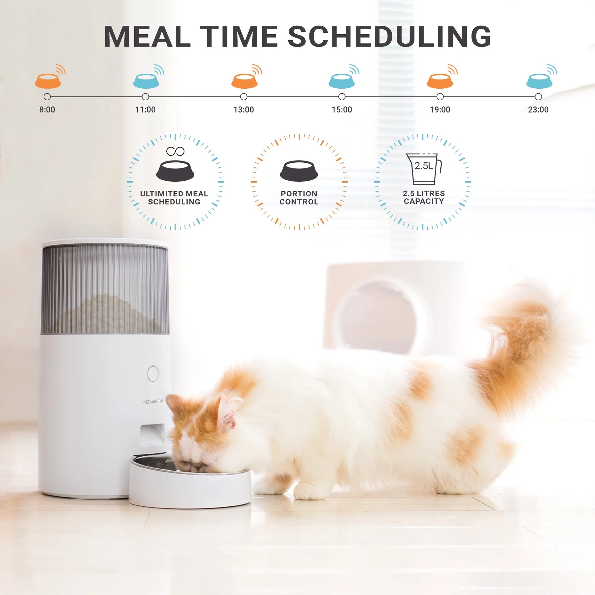 Revolutionary Purechew Mini Smart Cat and Dog Feeder - Automatic Food Dispenser for Hassle-Free Feeding!