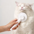 Pet Cat Comb Hair Brush for Floating Hair Cleaner