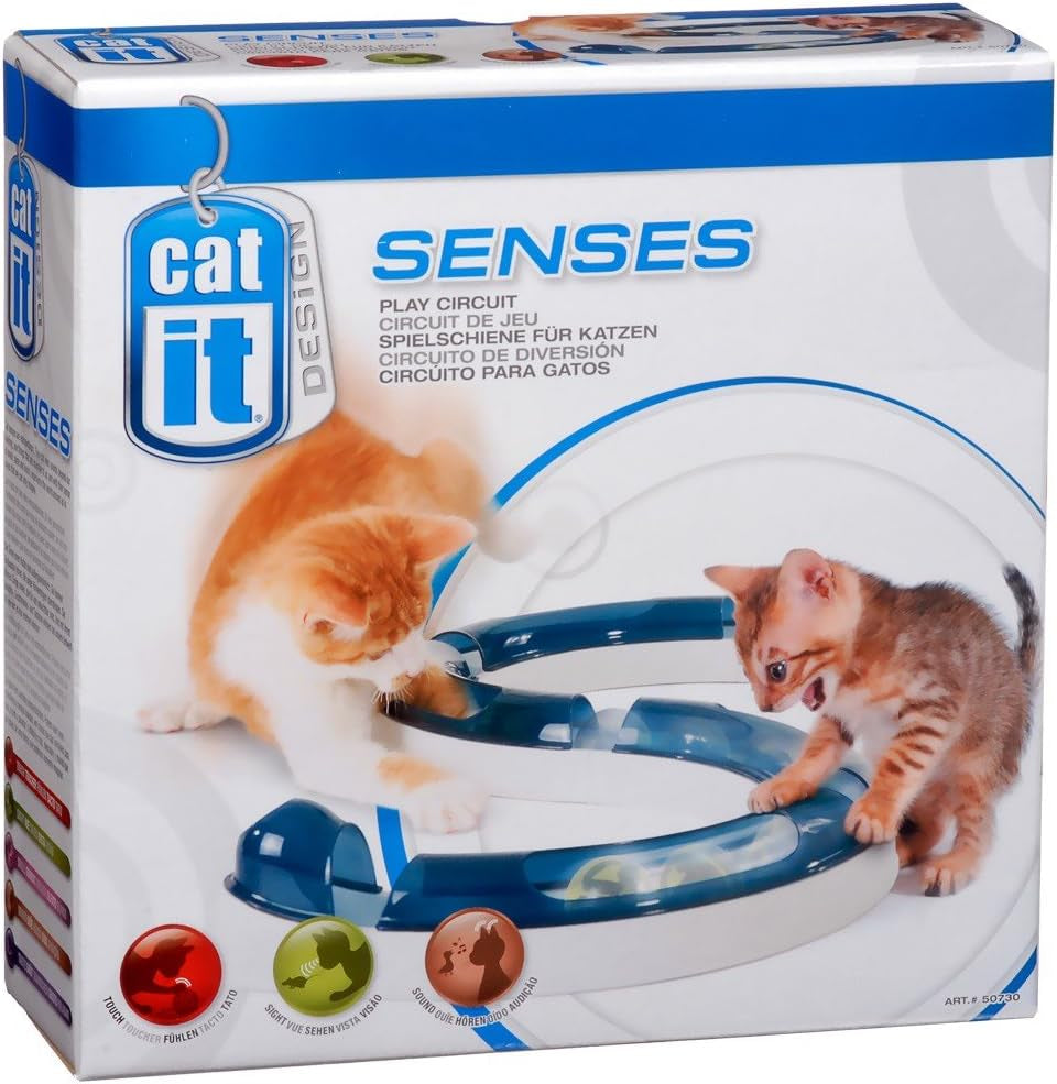Unleash Your Creativity with the Original Design Senses Play Circuit!