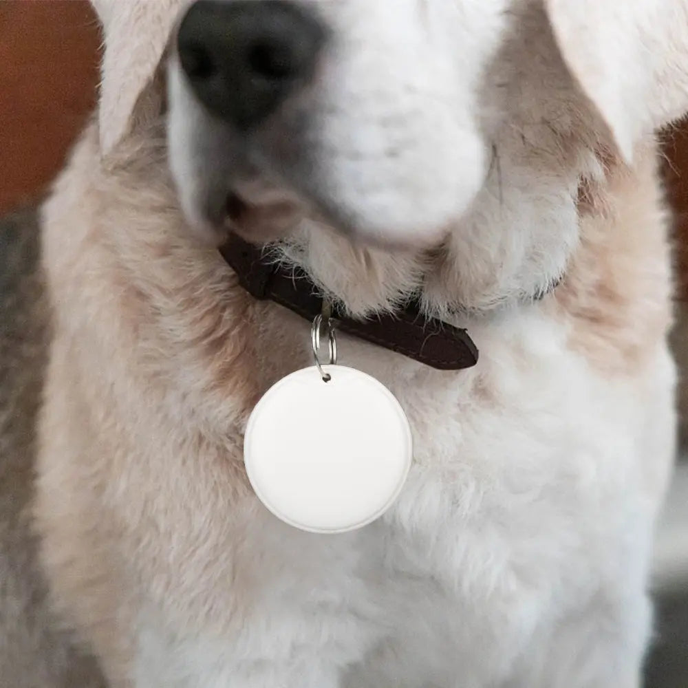 GPS Tracker for Dogs Cat Pet Child Smart Tag Gadgets Keychain for Keys Search Key Finder Mini anti Lost Alarm Gps Locator Pets Products
