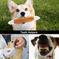 12 Adorable Plush Squeaky Toys for Your Small to Medium Pup – Comes with a Handy Carrying Bag! 🐾🎉