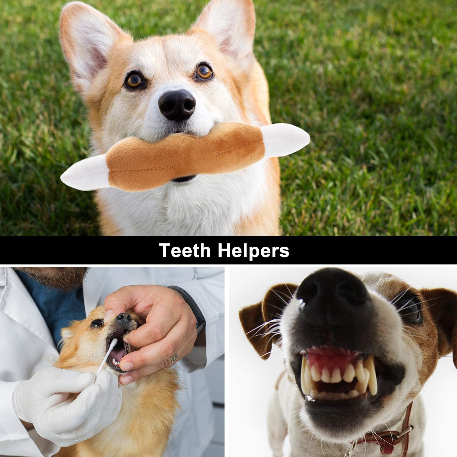 12 Adorable Plush Squeaky Toys for Your Small to Medium Pup – Comes with a Handy Carrying Bag! 🐾🎉