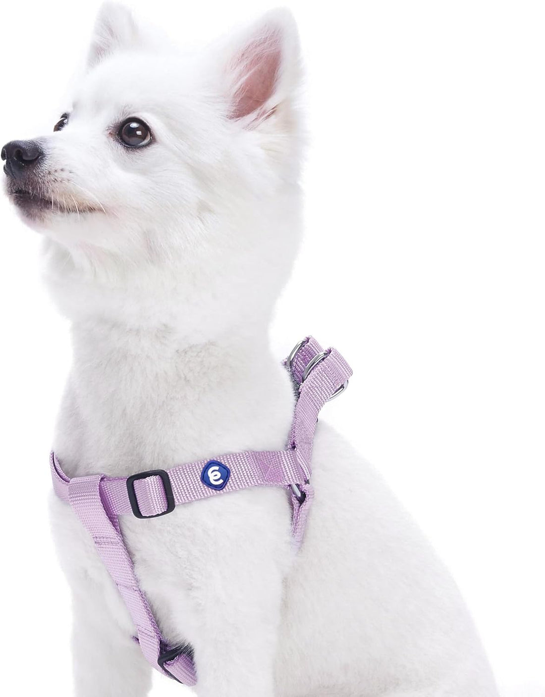 Upgrade your pup's style with our Lavender Step-In Dog Harness! Perfect fit for medium dogs with a chest girth of 20"-26". Adjustable & durable for all adventures! 🐾💜