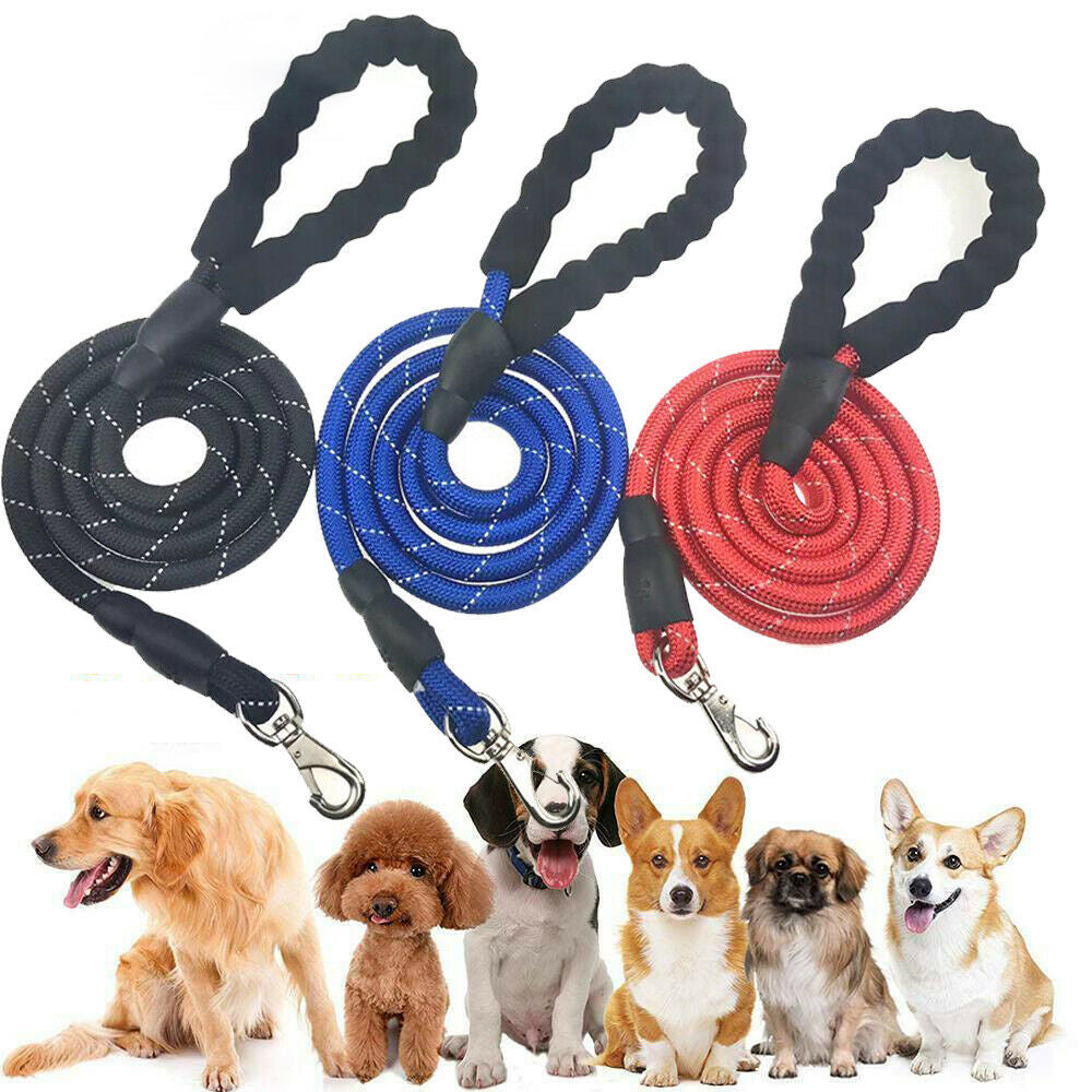 Adjustable Elastic Dog Leash for Hands-Free Jogging - Padded Handle & Reflective Design, Perfect for Training and Walking