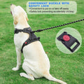 Upgrade Your Dog Walks! 🌟 Adjustable No Pull Harness + Free 5Ft Leash for Medium & Large Dogs 🐾💙 Perfect for Comfort & Control!