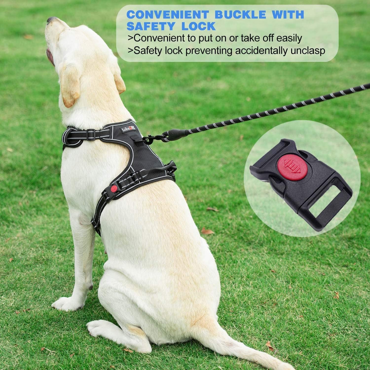 Upgrade Your Dog Walks! 🌟 Adjustable No Pull Harness + Free 5Ft Leash for Medium & Large Dogs 🐾💙 Perfect for Comfort & Control!