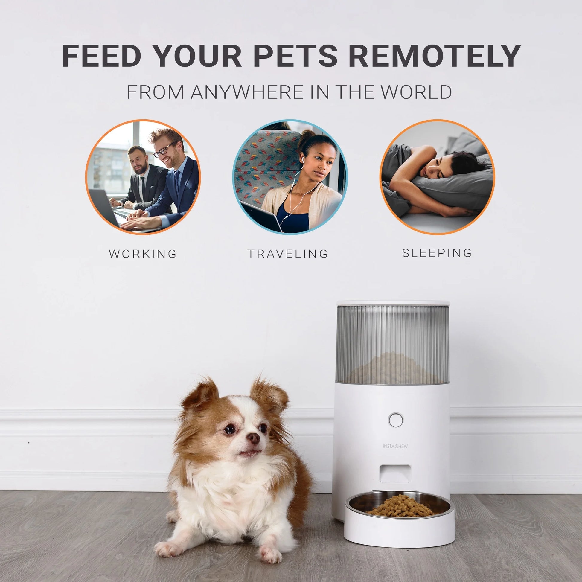 Revolutionary Purechew Mini Smart Cat and Dog Feeder - Automatic Food Dispenser for Hassle-Free Feeding!