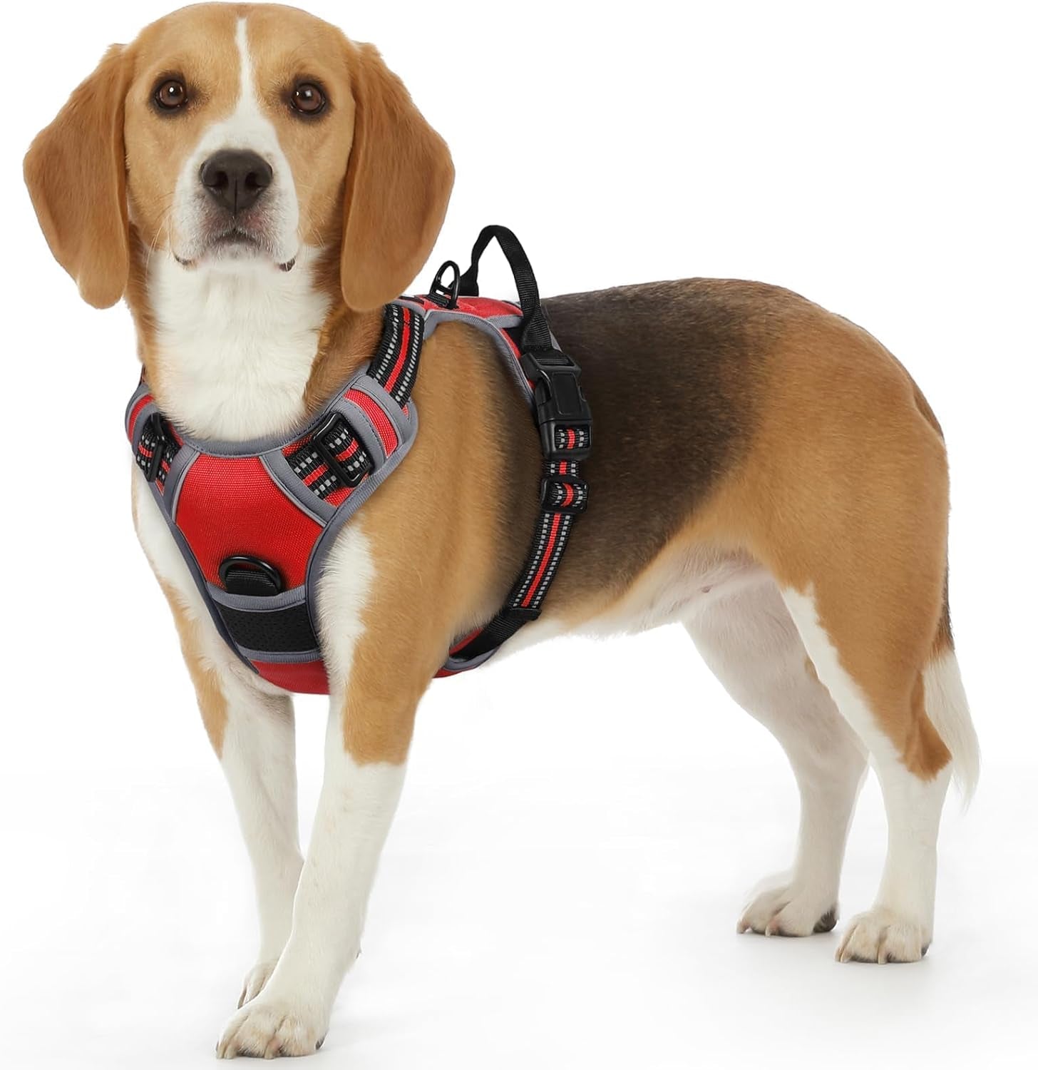 Say goodbye to pulling on walks! 🐾 Check out our comfy, adjustable dog harness for large pups! 🌟 Features reflective strips, a control handle, and no choke design. Perfect for your adventures together! 🐕✨ #DogLovers #PetGear #NoPullHarness
