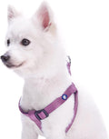 Upgrade your pup's style with our Lavender Step-In Dog Harness! Perfect fit for medium dogs with a chest girth of 20