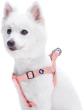 Upgrade your pup's style with our Lavender Step-In Dog Harness! Perfect fit for medium dogs with a chest girth of 20