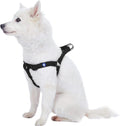 Upgrade your pup's style with our Lavender Step-In Dog Harness! Perfect fit for medium dogs with a chest girth of 20