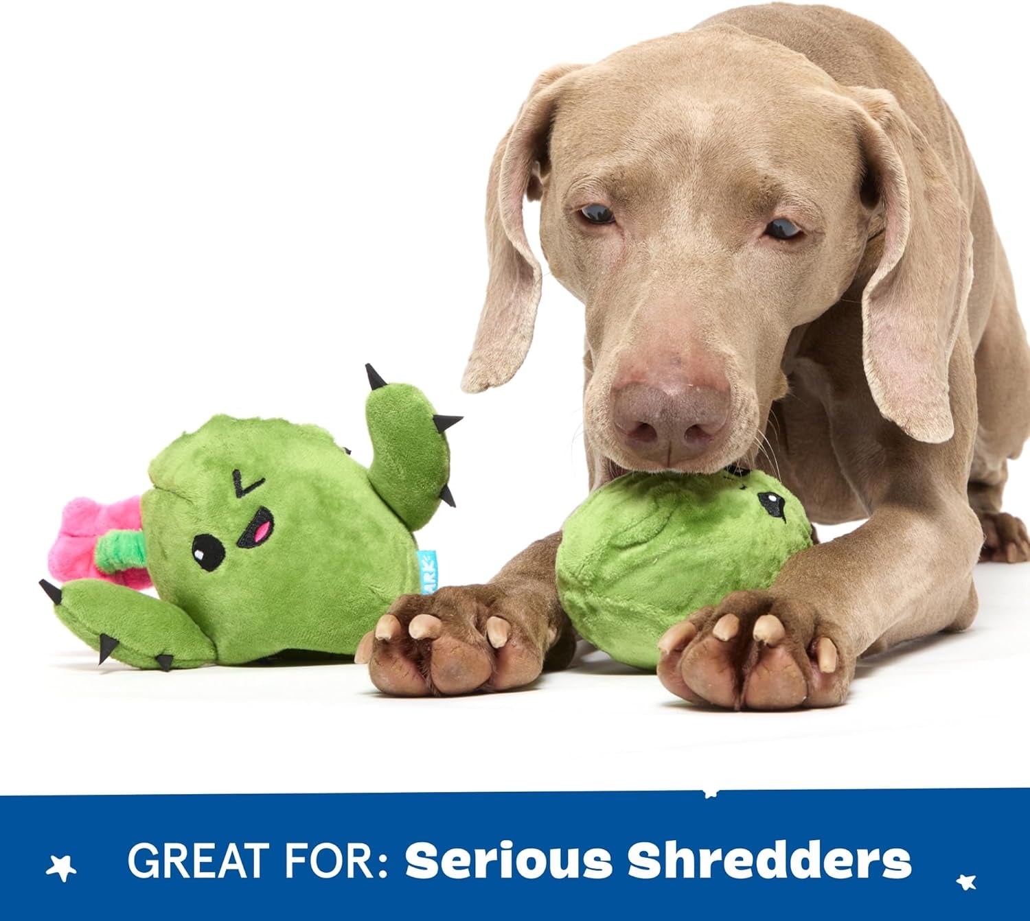 Unleash the Fun with Our 2 in 1 Interactive Plush Dog Toy! 🎉🐾 Meet the Rip and Reveal Consuela Cactus - Perfect for Dogs & Puppies! 🐶💚 Squeaky, Stimulating, and Oh-So-Fun!