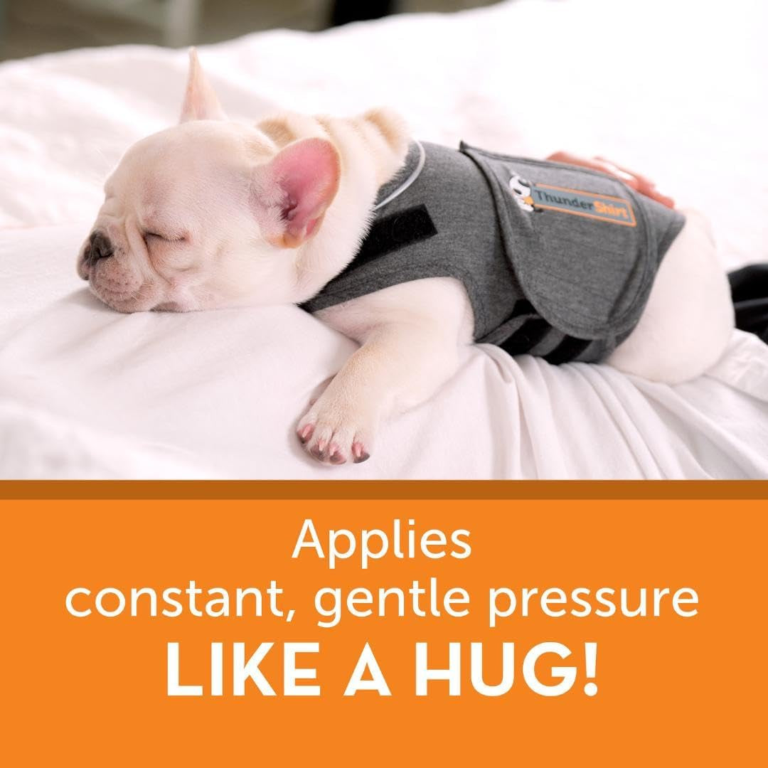 for Dogs, Small, Heather Gray Classic - Dog Anxiety Relief Calming Vest