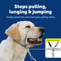 Say goodbye to pulling! 🐾 Discover the Gentle Leader No-Pull Headcollar – lightweight, breathable, and designed for comfort. Perfect for easy walks with your furry friend! 🐶✨